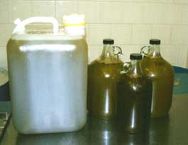 olive oil in jugs