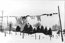 Frozen clothesline